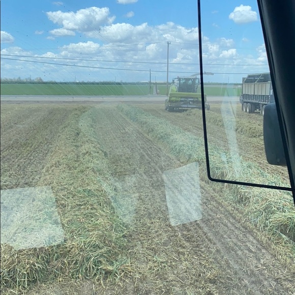 Meet your Posher, Ivan - Picture 1 of 1